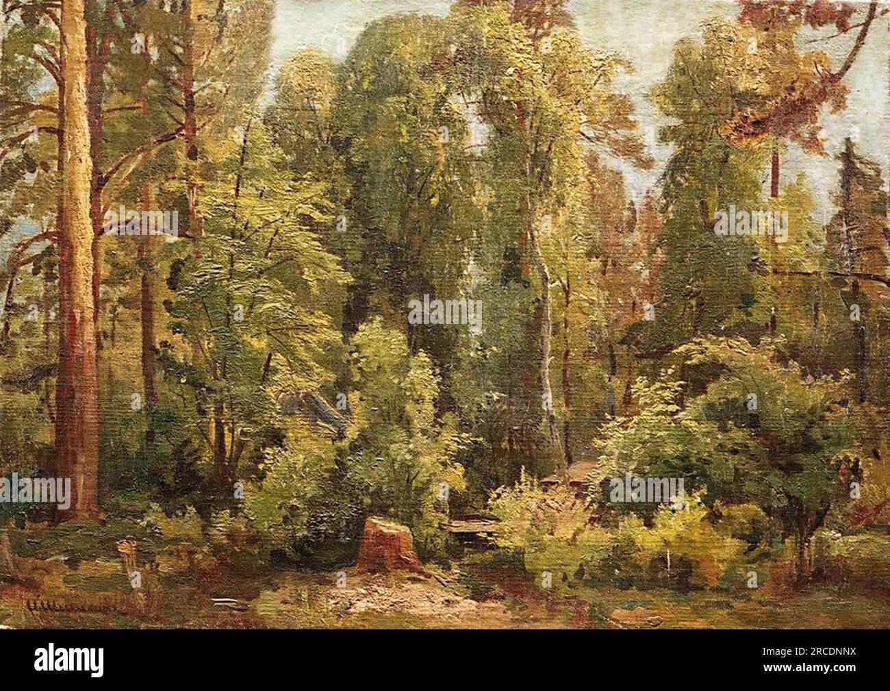 In the forest by Ivan Shishkin Stock Photo - Alamy