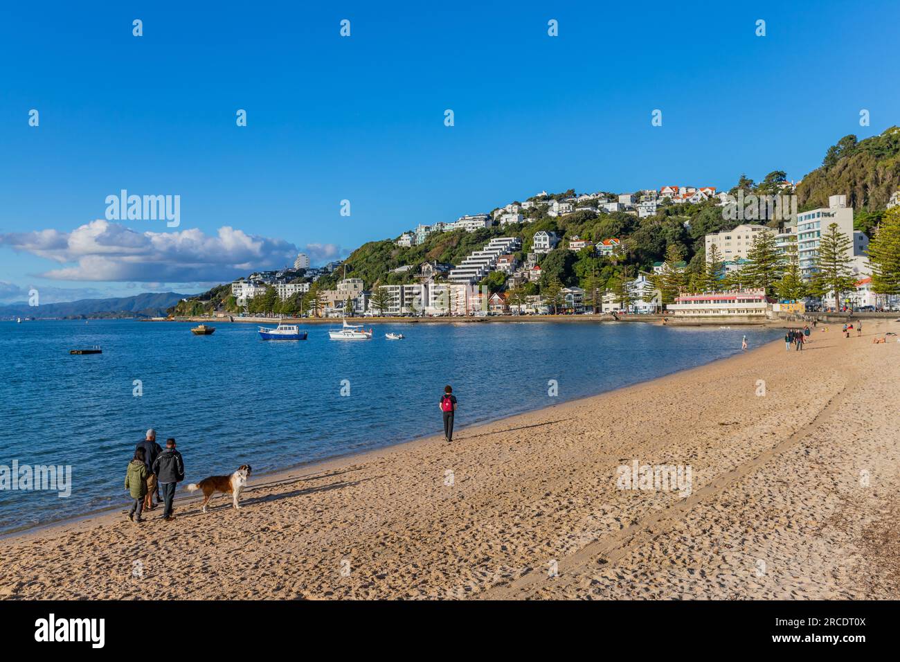 Wellington, New Zealand - 12 May 2023: Oriental Bay beach, Pacific ocean waterfront and cityscape of Wellington, capital of New Zealand. Stock Photo