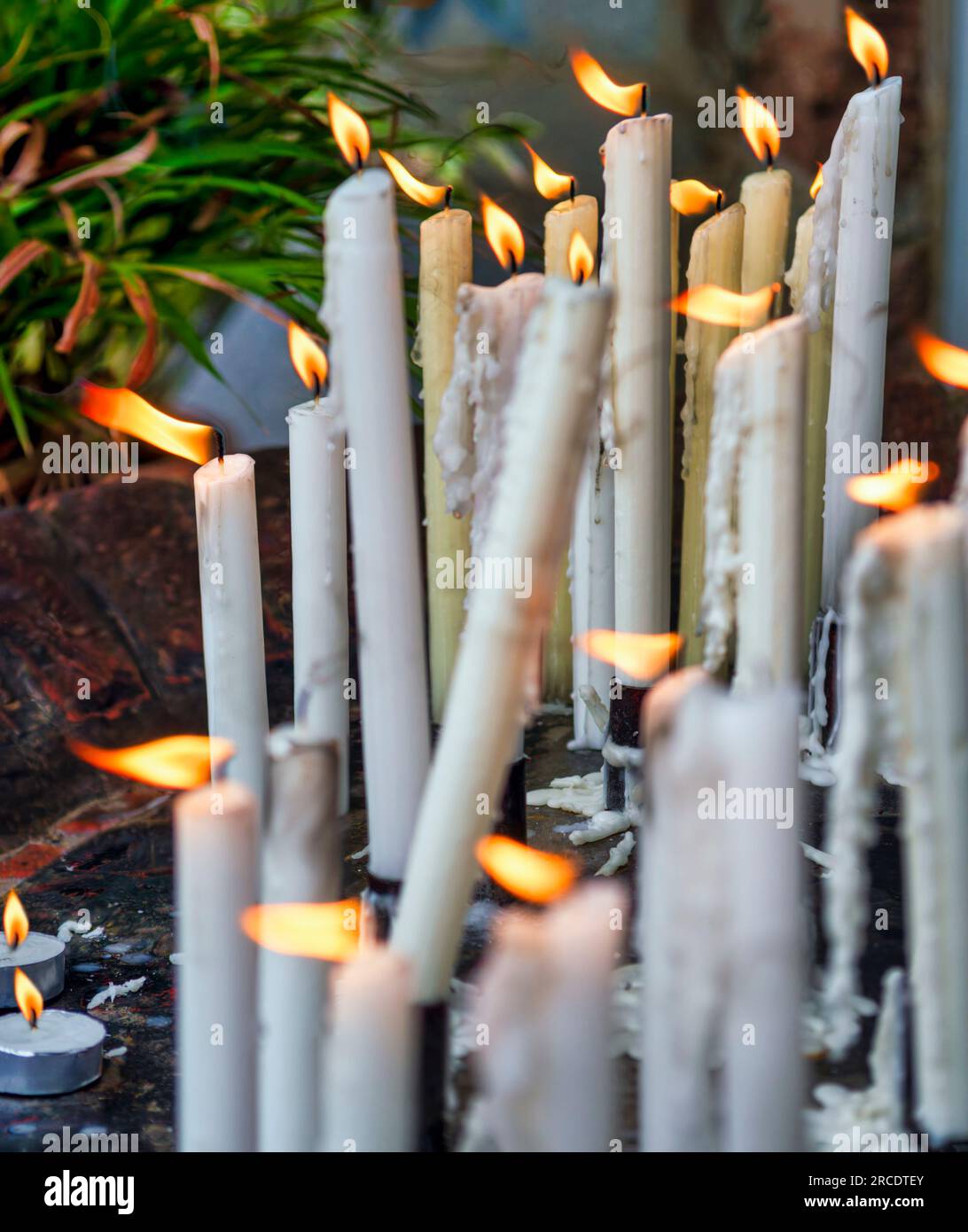 mexican holiday, day of the dead, lots of candles burning in their