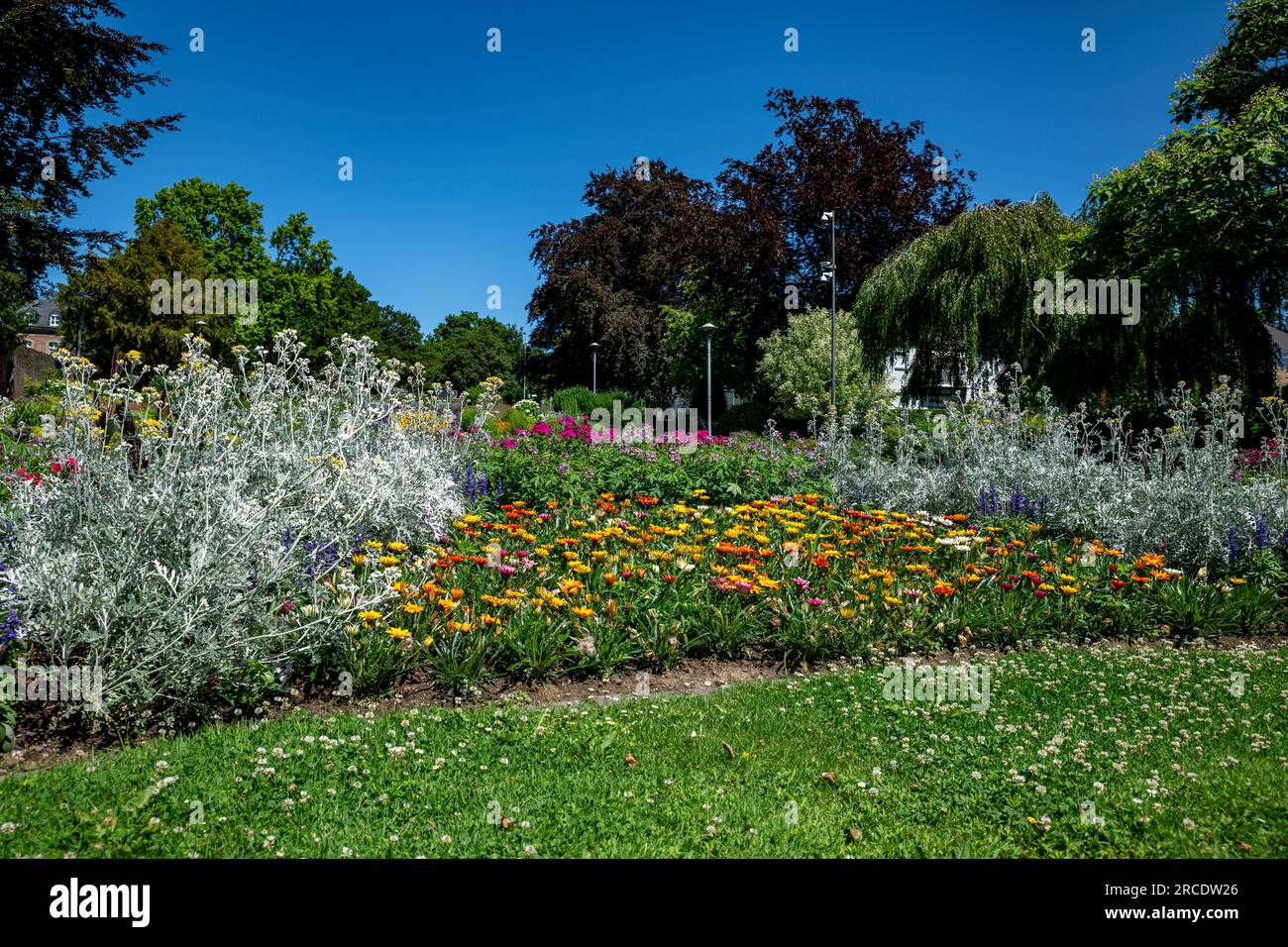 Various flowers garden english hi-res stock photography and images - Alamy
