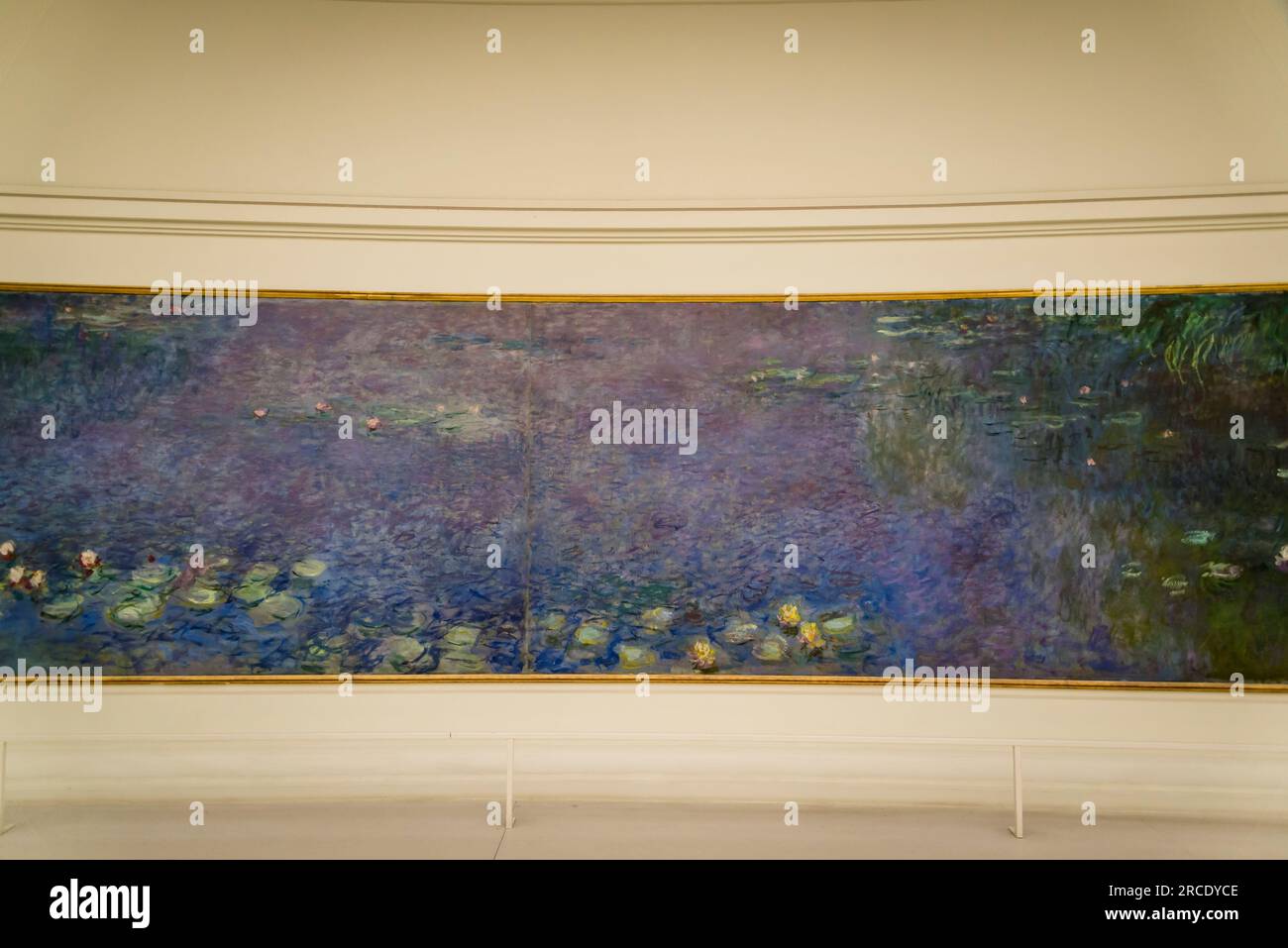 Claude Monet's large Water lilies painting, Musée de l'Orangerie, an