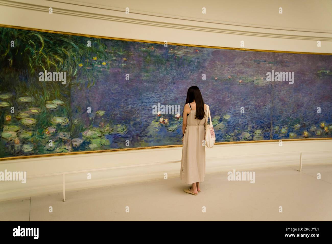 Claude Monet's large Water lilies painting, Musée de l'Orangerie, an