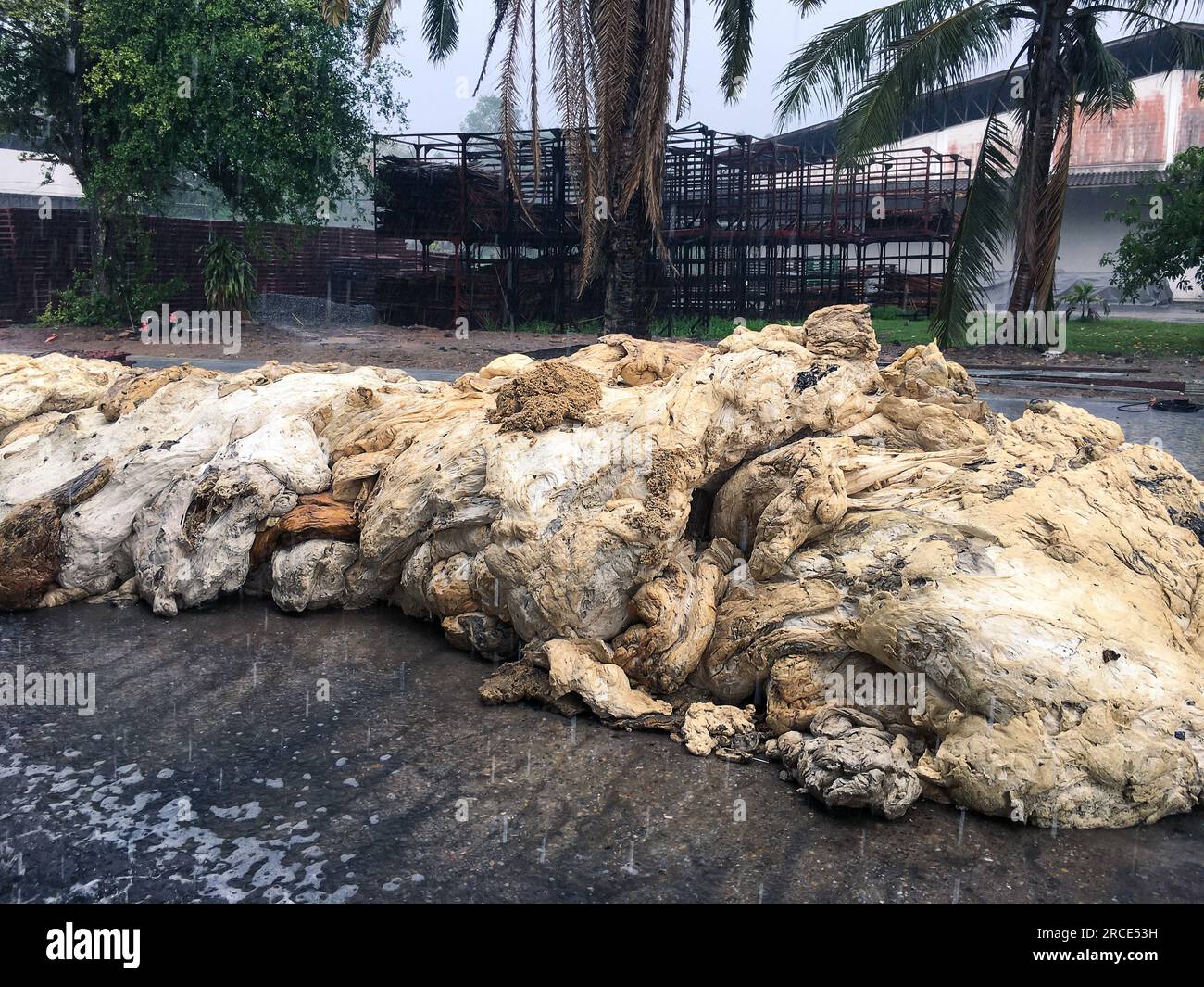 Latex Rubber, Rubber left over from the latex production process to be used to make other