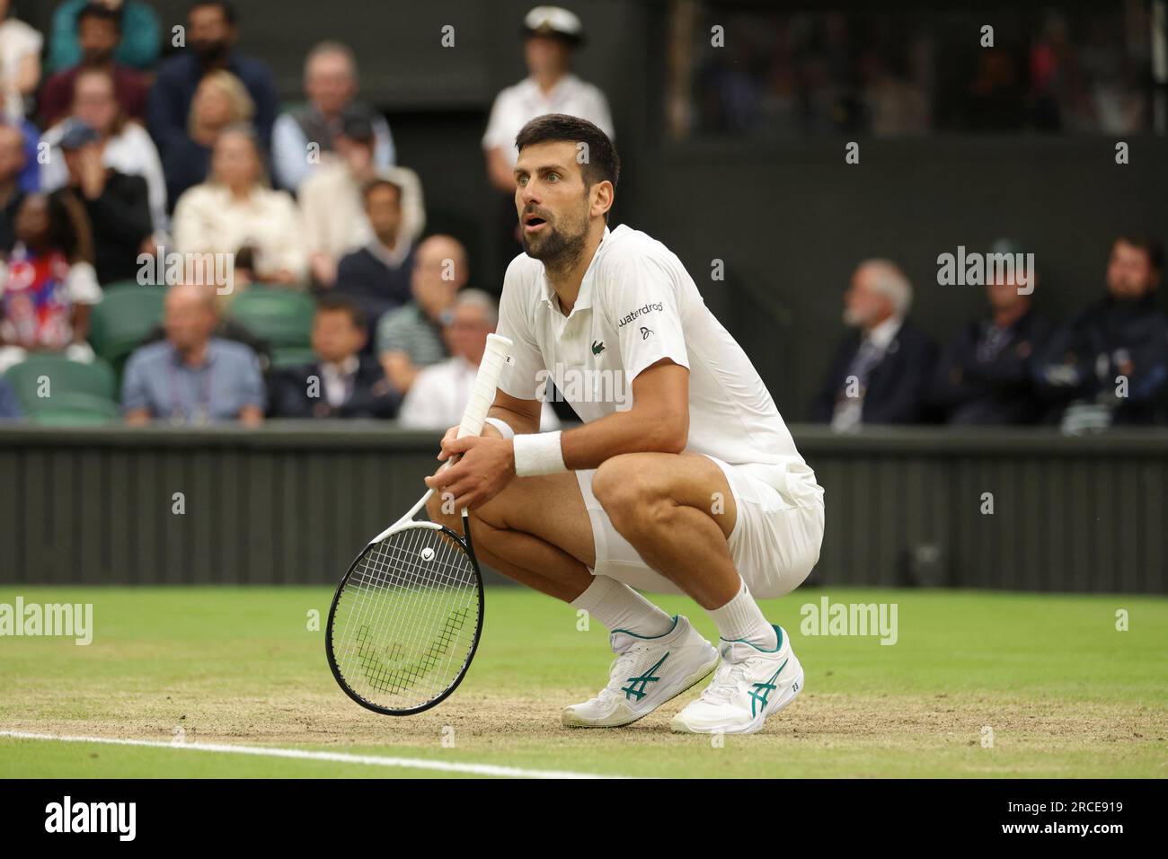 Novak Djokovic of Serbia reacts after losing a point for hinderance during the Gentlemens Singles Semi-finals match against Jannik Sinner of Italy in the Championships, Wimbledon at All England Lawn Tennis and