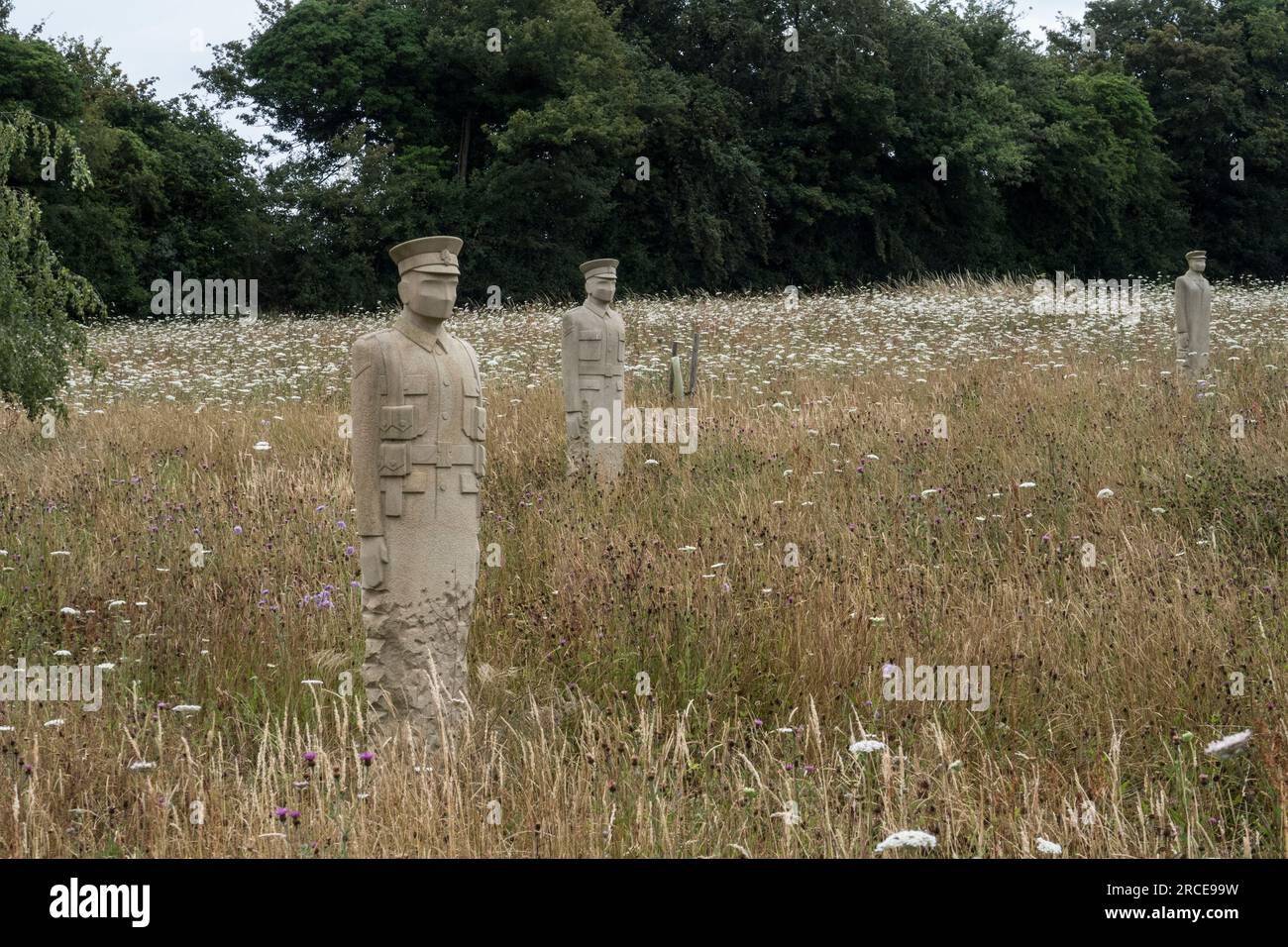 The Regiment of Trees Commemorating the inspection of the troops by Lord Kitchener Epsom Downs January 1915 Stock Photo