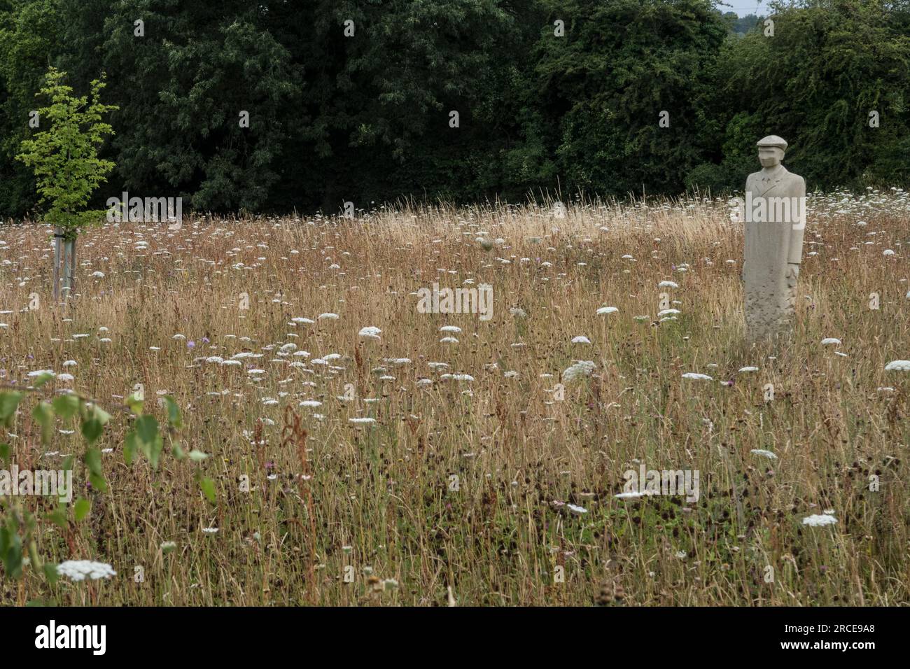 The Regiment of Trees Commemorating the inspection of the troops by