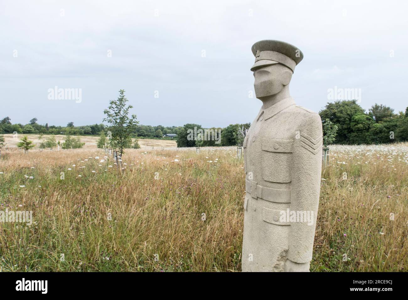 The Regiment of Trees Commemorating the inspection of the troops by Lord Kitchener Epsom Downs January 1915 Stock Photo