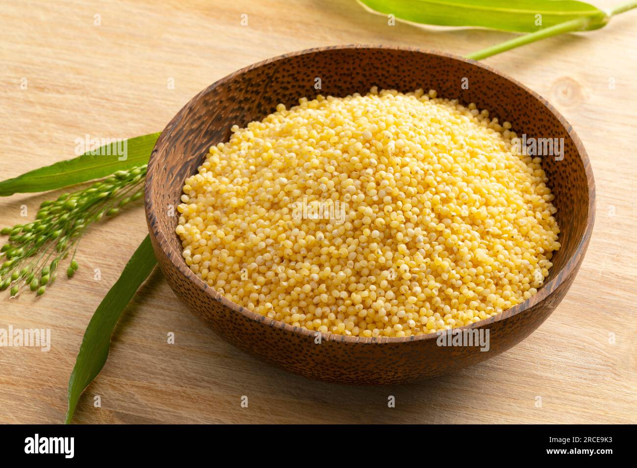 Bowl with raw dry yellow millet and a fresh millet ear close up Stock