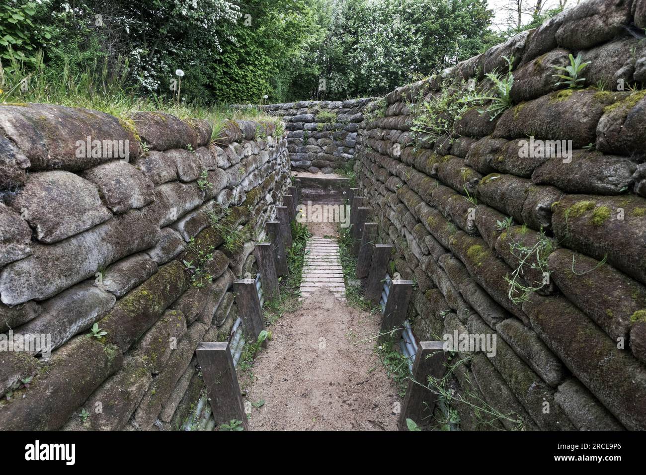 First World War Trenches, known as the Yorkshire Trenches, Ypres, Belgium, EU Stock Photo
