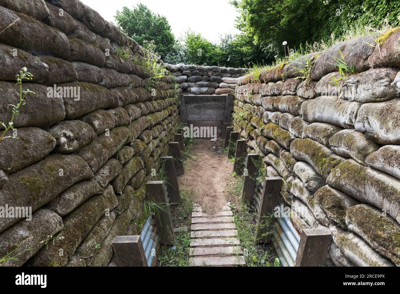 First World War Trenches, known as the Yorkshire Trenches, Ypres, Belgium, EU Stock Photo