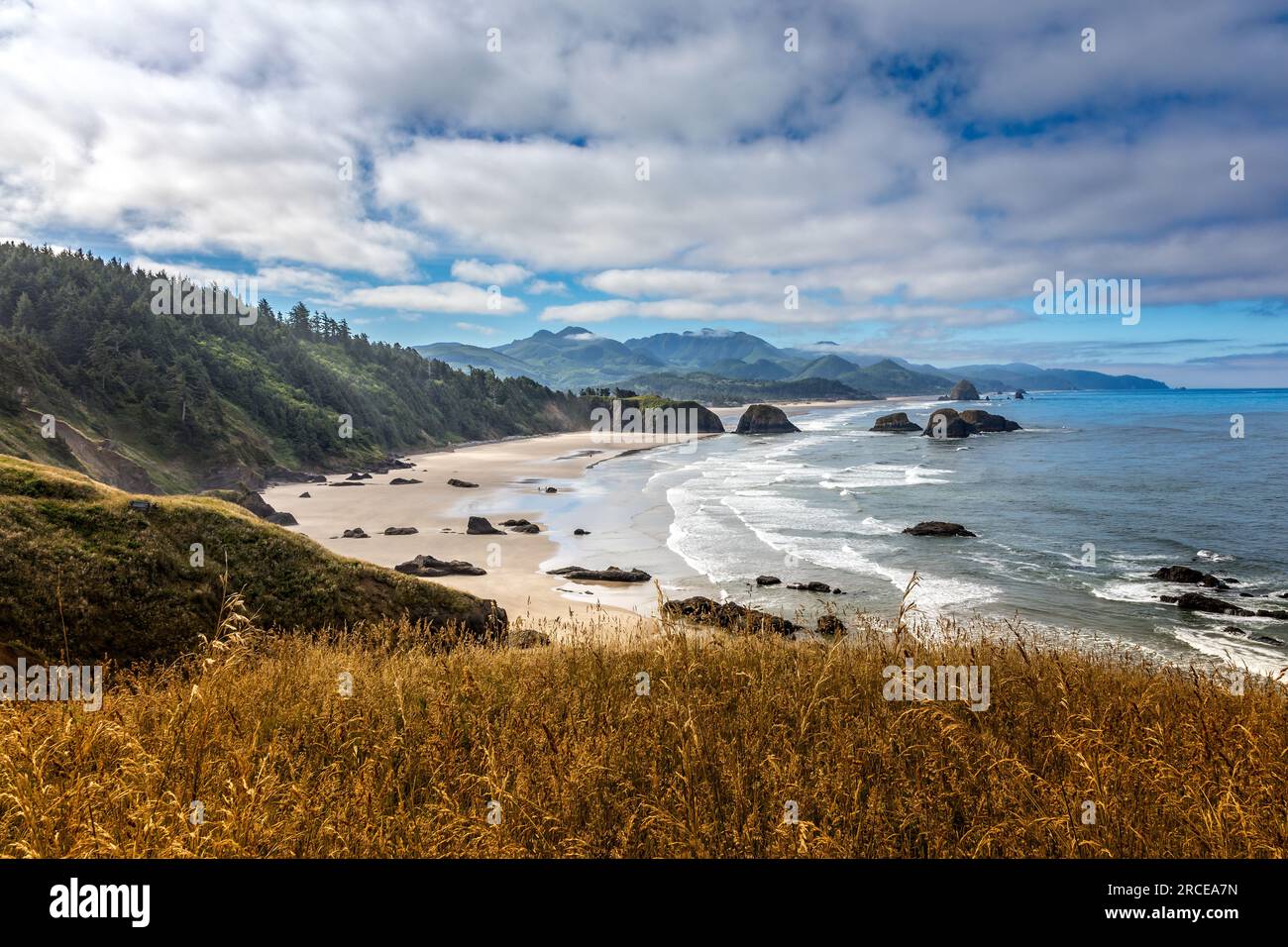 Canon beach in the Ecola State Park, Oregon USA Stock Photo