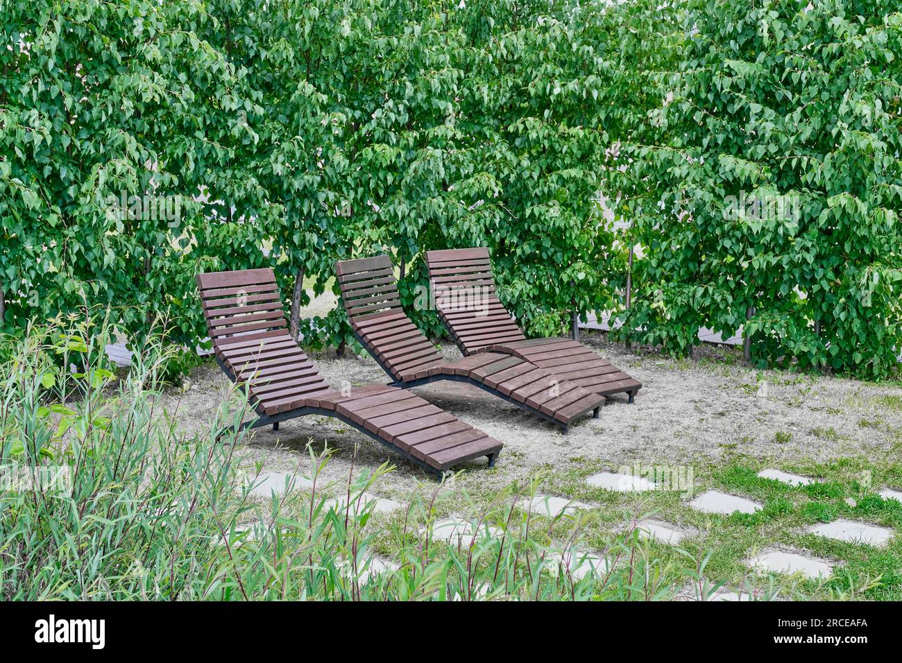 Green area with wooden benches in city public park Stock Photo - Alamy
