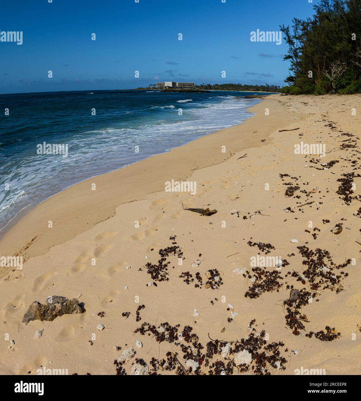 Sandy Beach on Kawela Bay, Oahu, Hawaii, USA Stock Photo Alamy