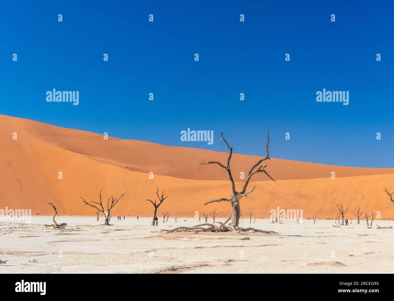 Sand Dunes and silhouettes in Namibia Stock Photo