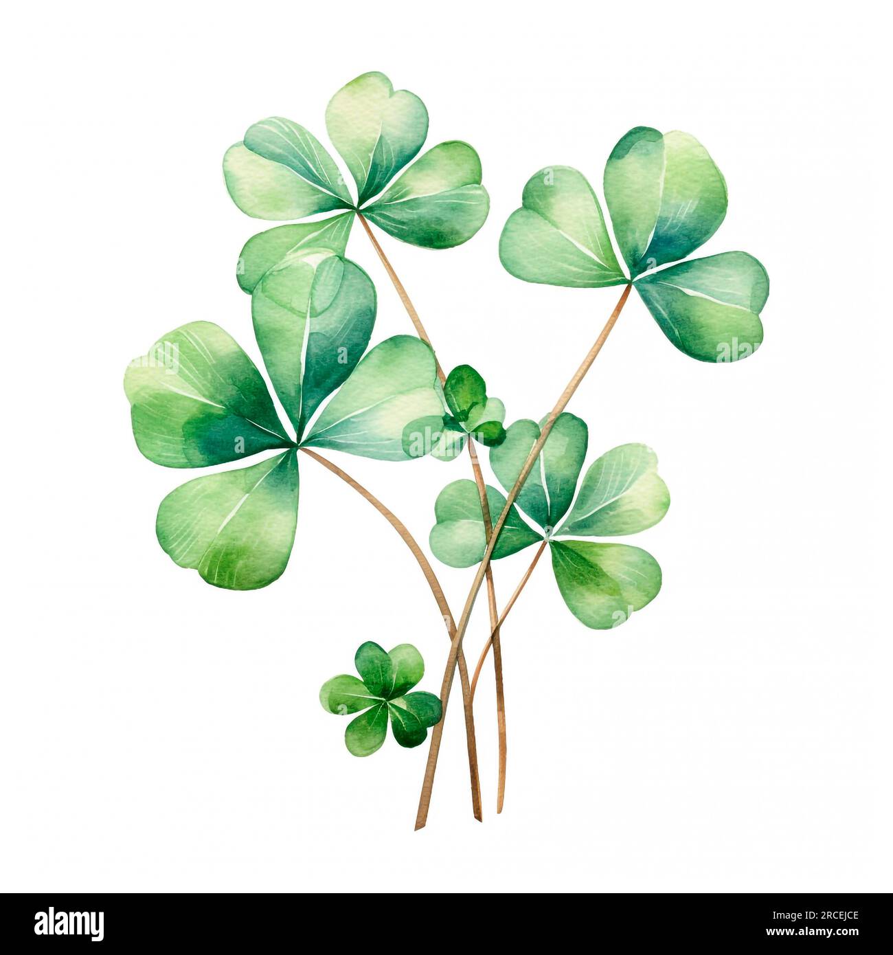 Lucky clover leaves with four leaf. Patricks day watercolor clipart Stock  Photo - Alamy
