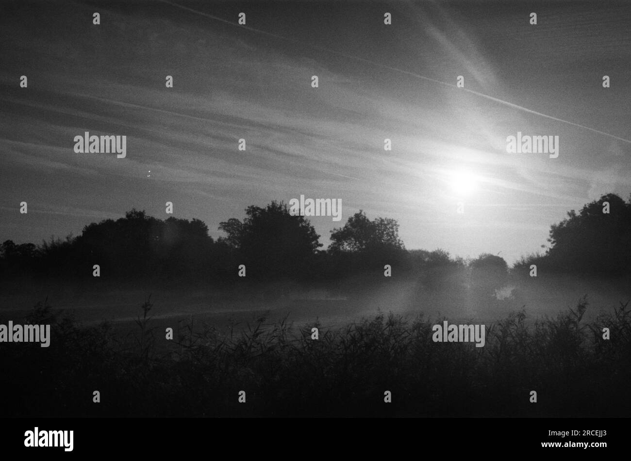 Salisbury Cathedral in the morning mist. Overlooking the water meadows. Black and white 35mm photograph shot on Leica M6 Stock Photo