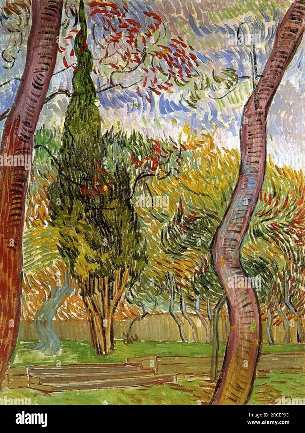 The Garden of SaintPaul Hospital 1889; Saintrémydeprovence, France