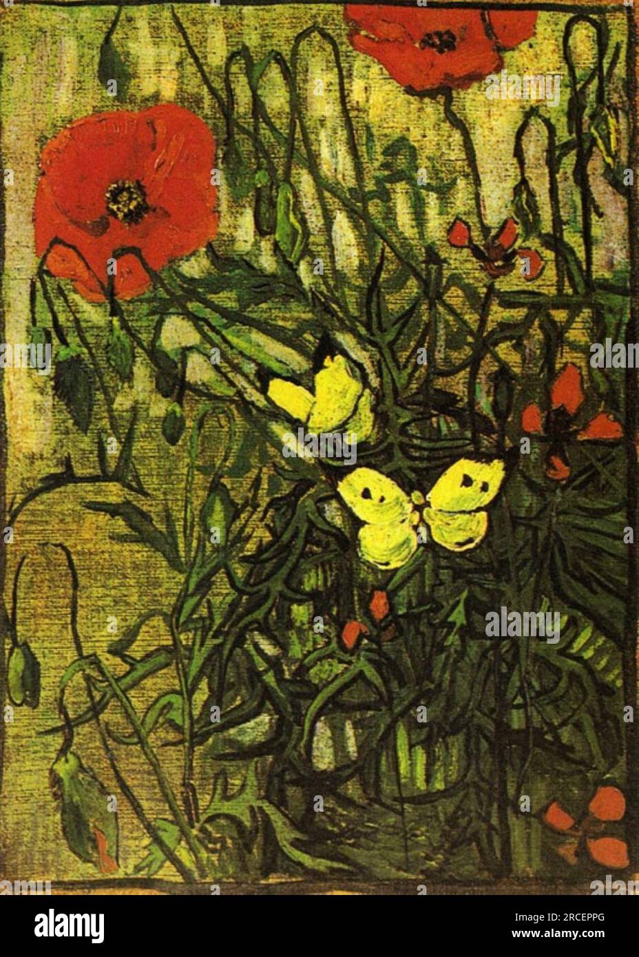 Poppies and Butterflies 1890; Saint-rémy-de-provence, France by Vincent van Gogh Stock Photo