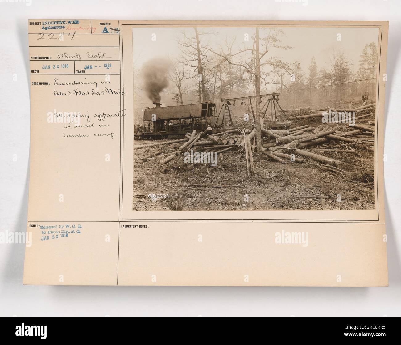 Skidding apparatus being used in a lumber camp during WWI in Alabama