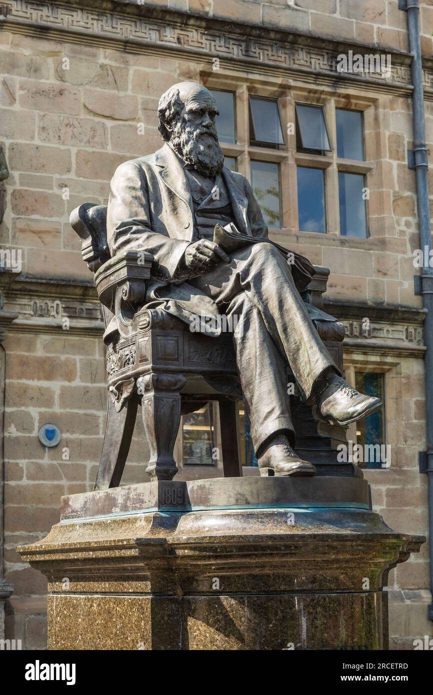 Statue of Charles Darwin outside the Shrewsbury Library, Shrewsbury, Shropshire, UK Stock Photo