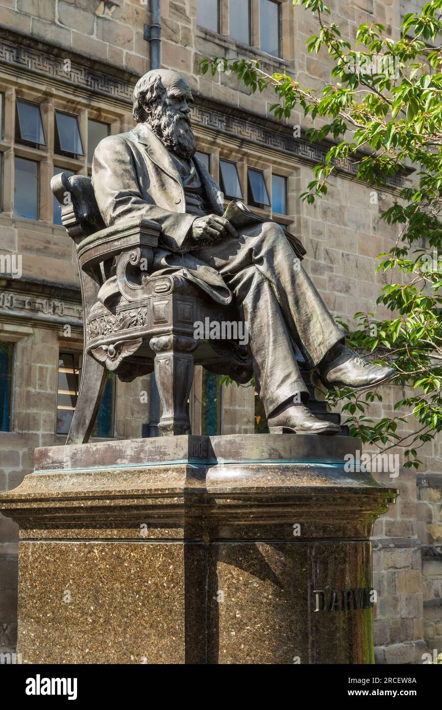 Statue of Charles Darwin outside the Shrewsbury Library, Shrewsbury, Shropshire, UK Stock Photo