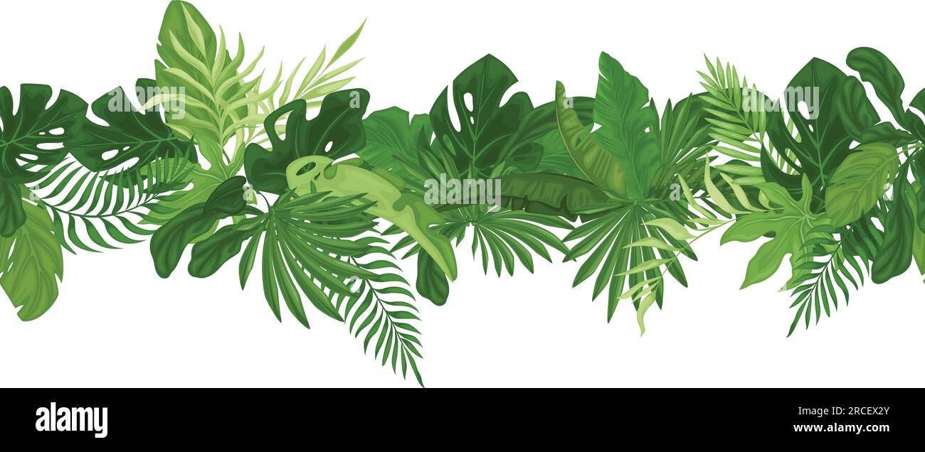 Tropical seamless border pattern with palm leaves. Vector Stock Vector ...