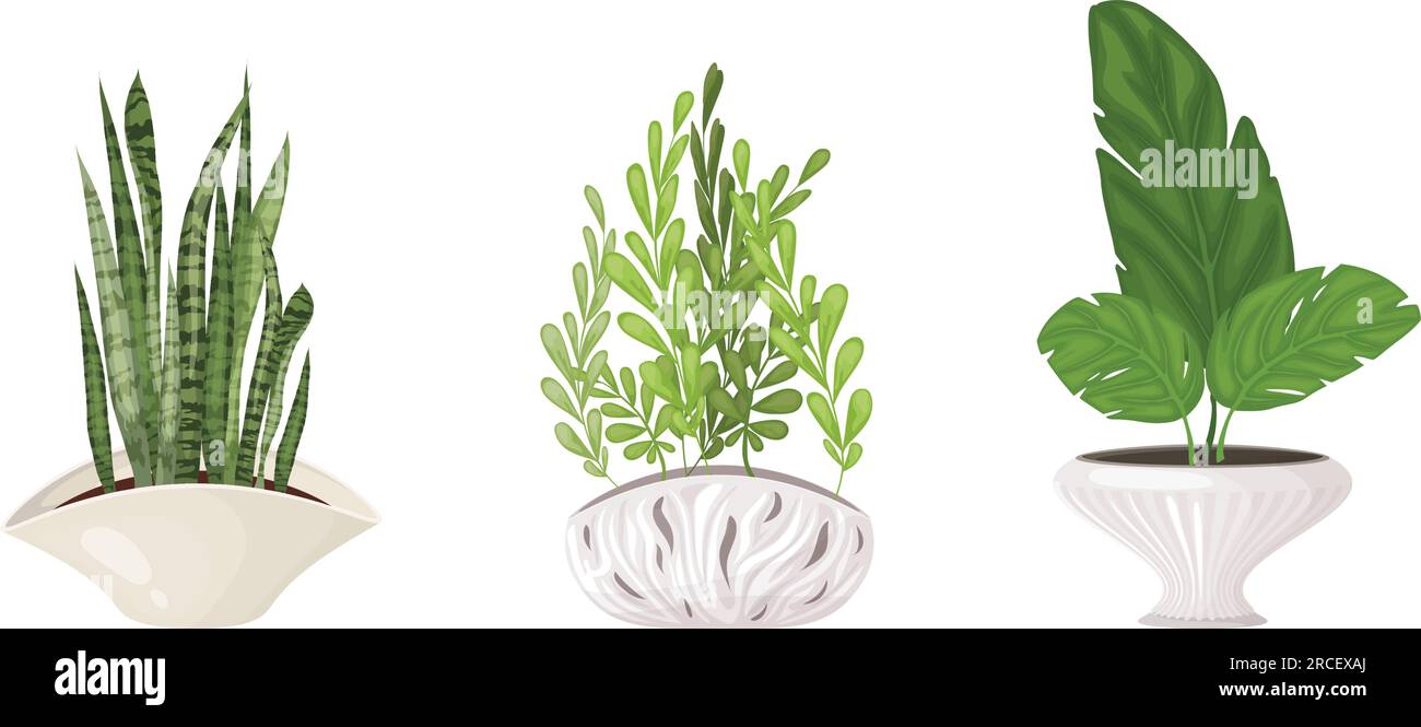 Set of indoor tropical plants in fashionable pots Stock Vector