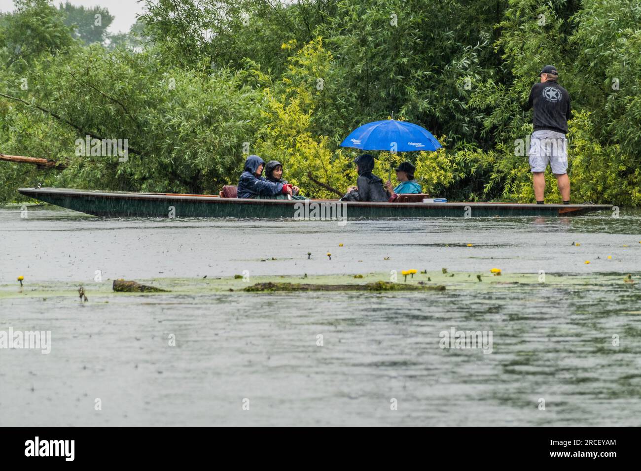 London, UK. 14th July, 2023. A typical british summer. Punting on the