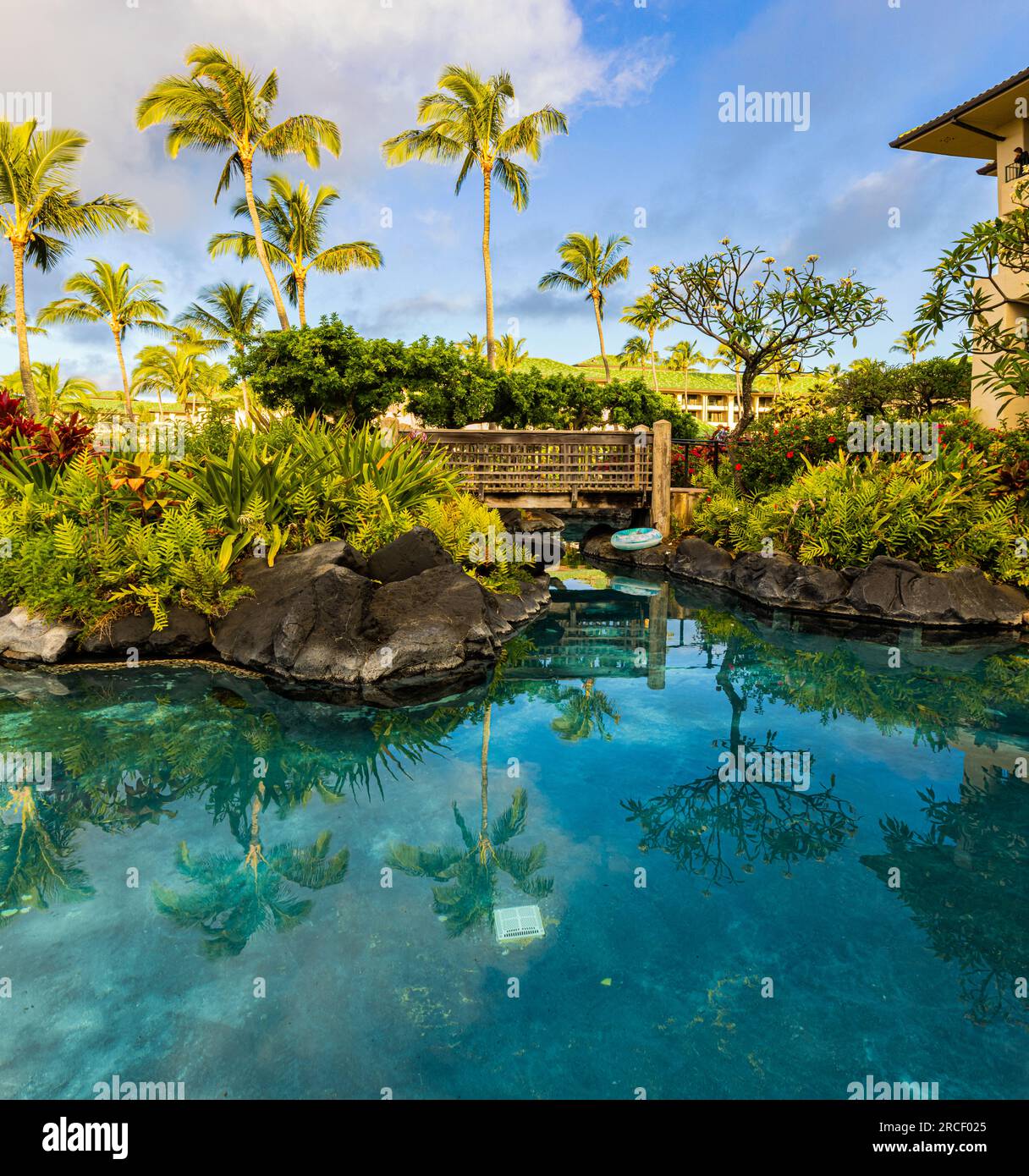 Hawaii swimming pool hires stock photography and images Alamy