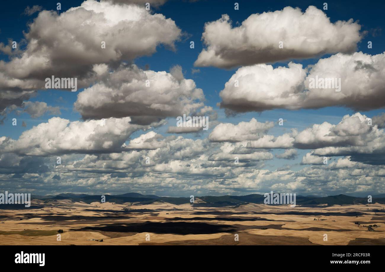 Rolling hills and fairweather cumulus clouds, Washington/Idaho border, USA. Stock Photo