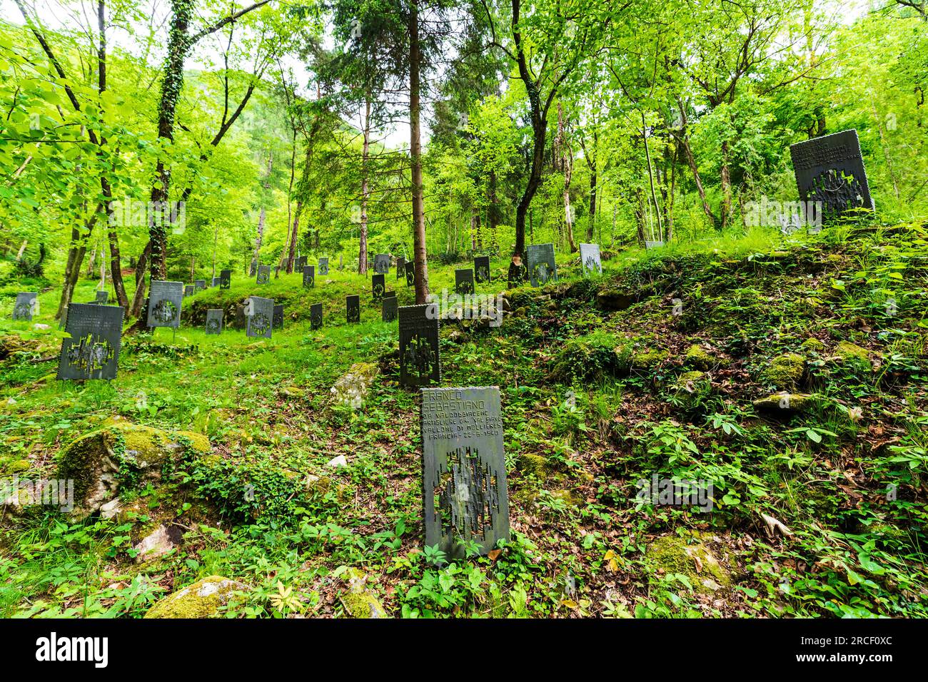 Bosco Delle Penne Mozze Hi res Stock Photography And Images Alamy bosco-delle-penne-mozze-hi-res-stock-photography-and-images-alamy