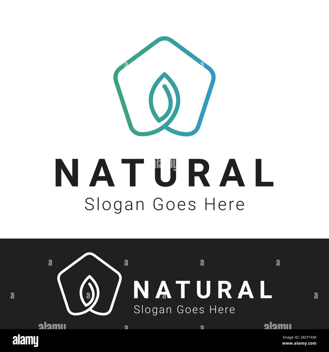 Pentagon with Leaf Logo Design Nature Leaf Logotype Stock Vector