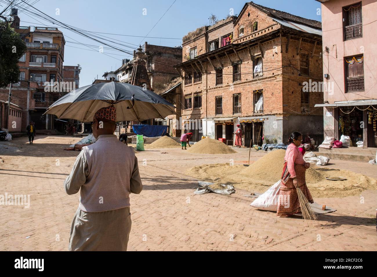 Rice farming in nepal hi-res stock photography and images - Alamy