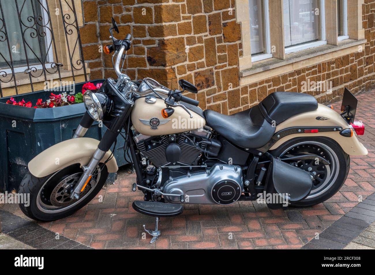 2015 Harley-Davidson Twin Cam 103 V-Twin Engine motorbike. Stock Photo