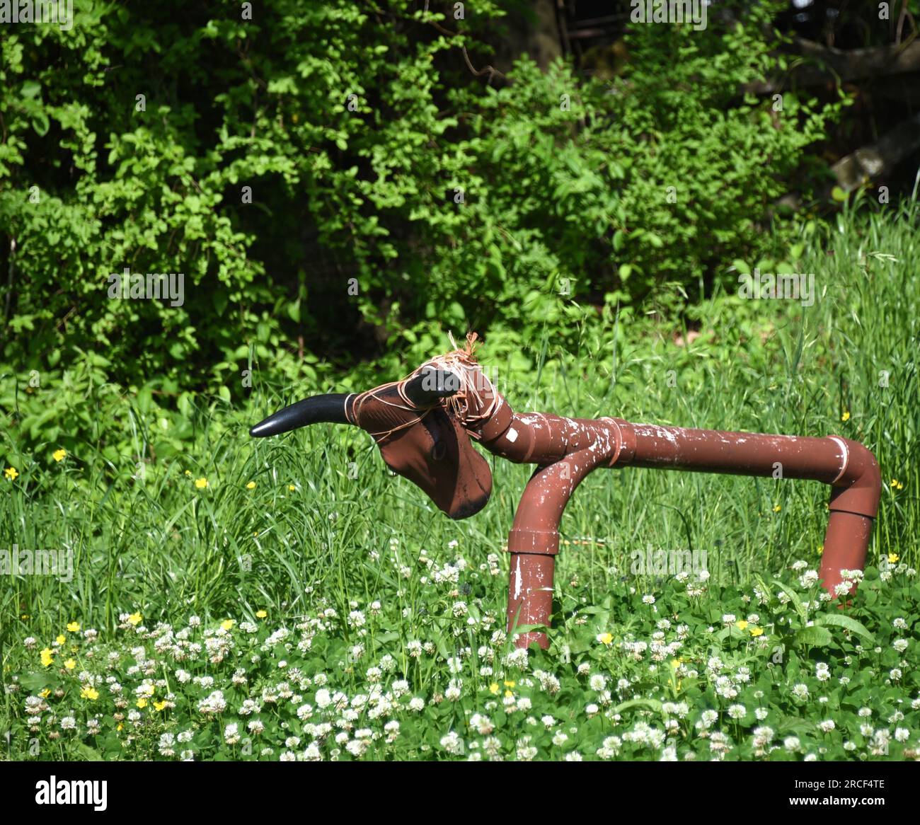 Home made roping steer has seen a lot of practice. Body is constructed