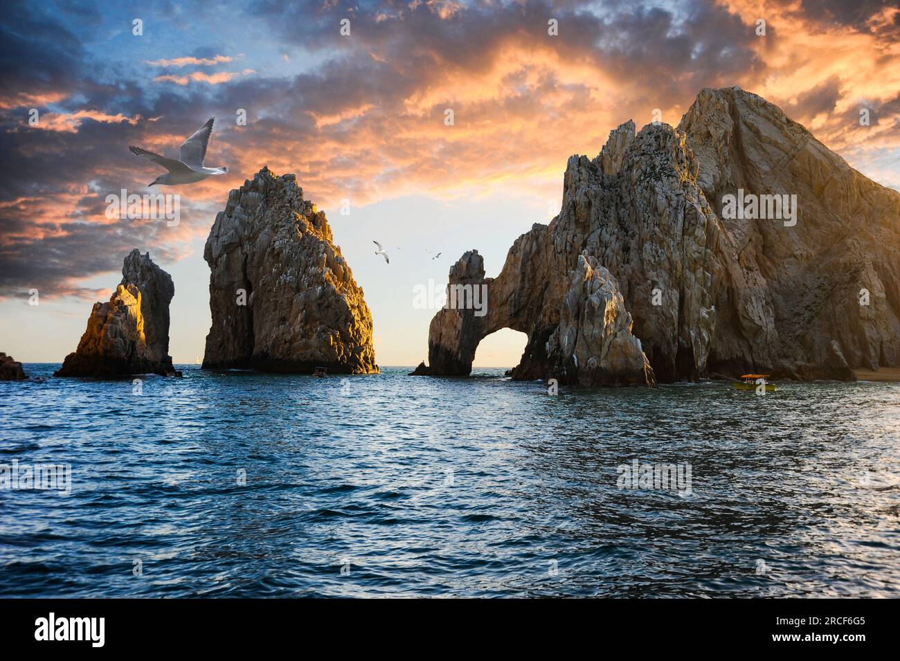 Seagulls fly above Cabo San Lucas' iconic arch, a rock formation near ...