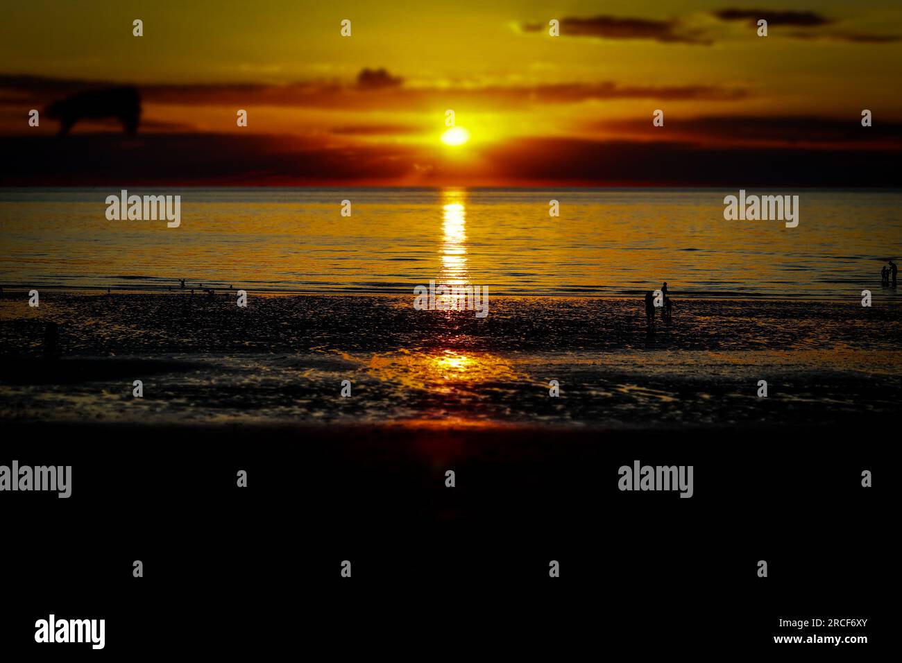 Scenic landscape photo of the sunset by the sea Stock Photo - Alamy