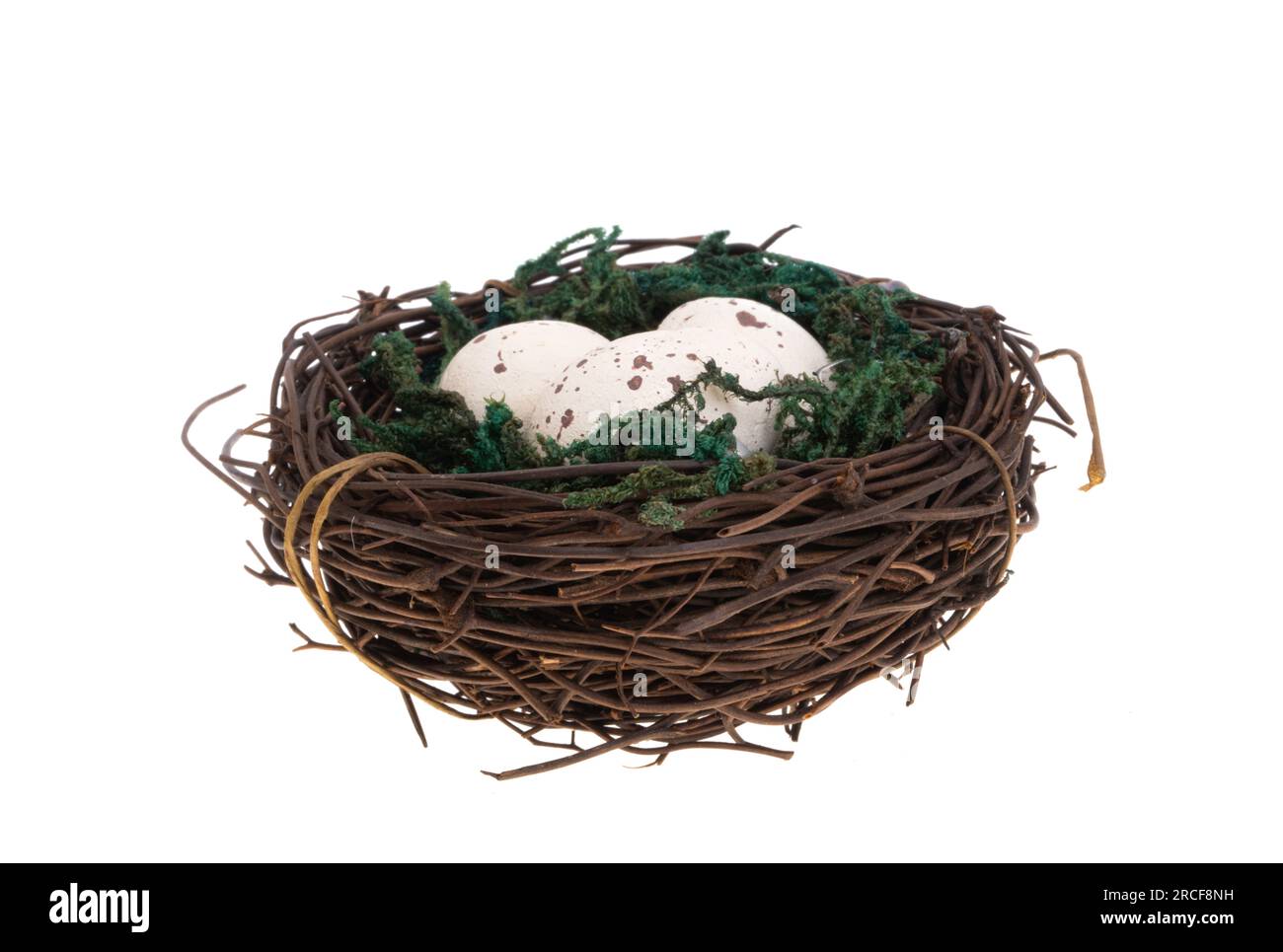 bird's nest with eggs isolated on white background Stock Photo - Alamy