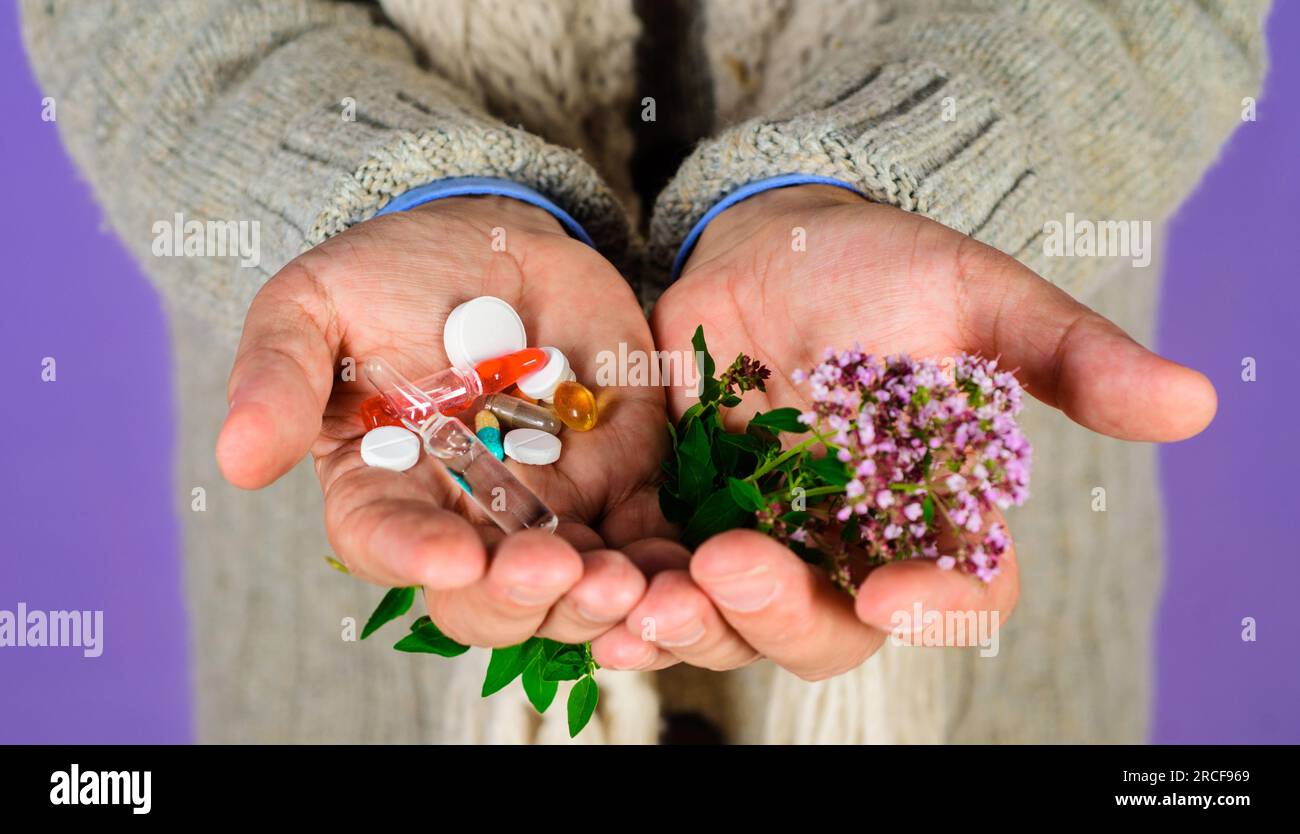 Man hand with pills and herbal plant. Natural herbs. Homeopathy, naturopathy. Alternative herbal medicine. Man's palms hold pills, ampoule, capsules Stock Photo