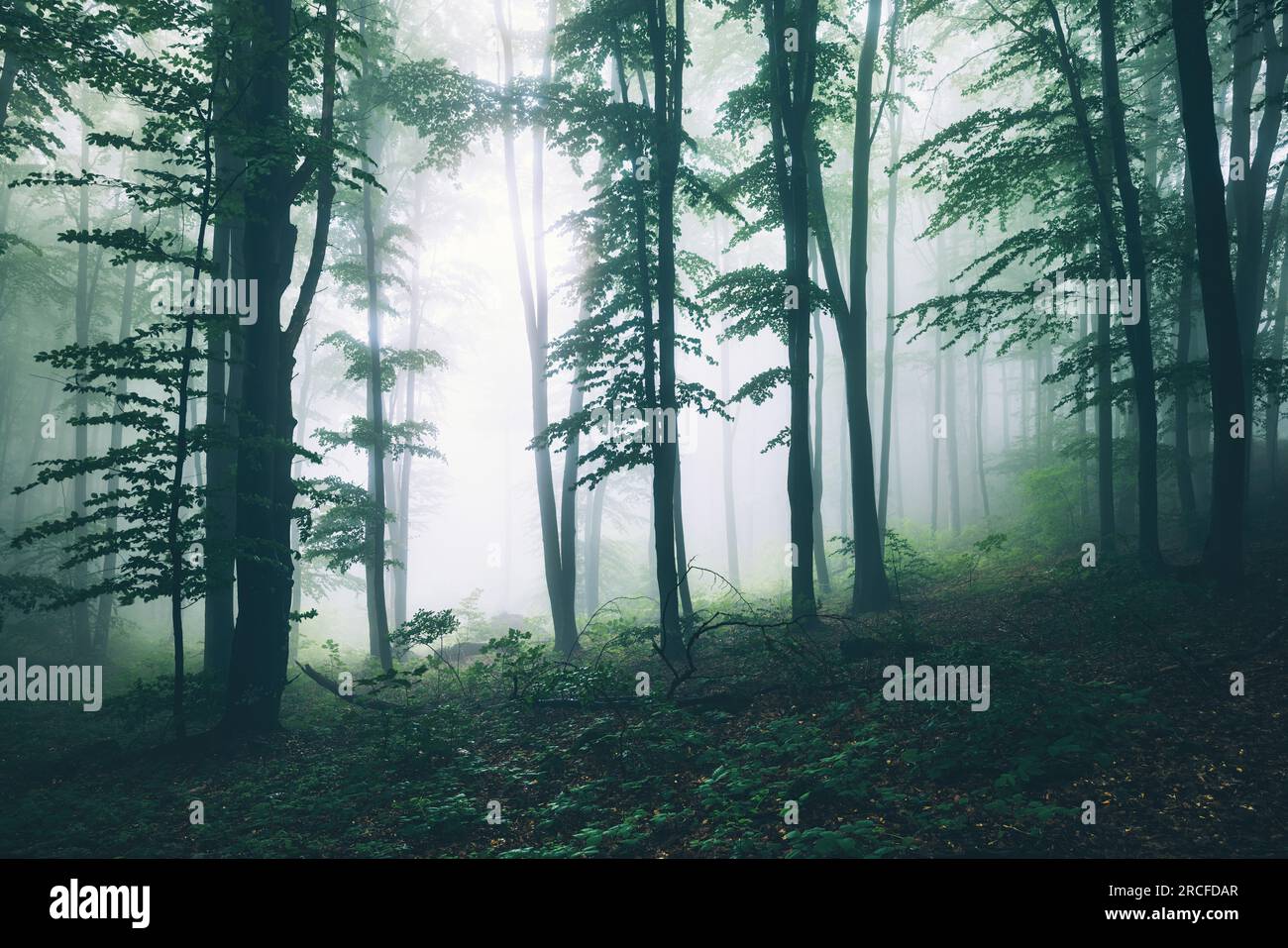 Green light beam hi-res stock photography and images - Alamy