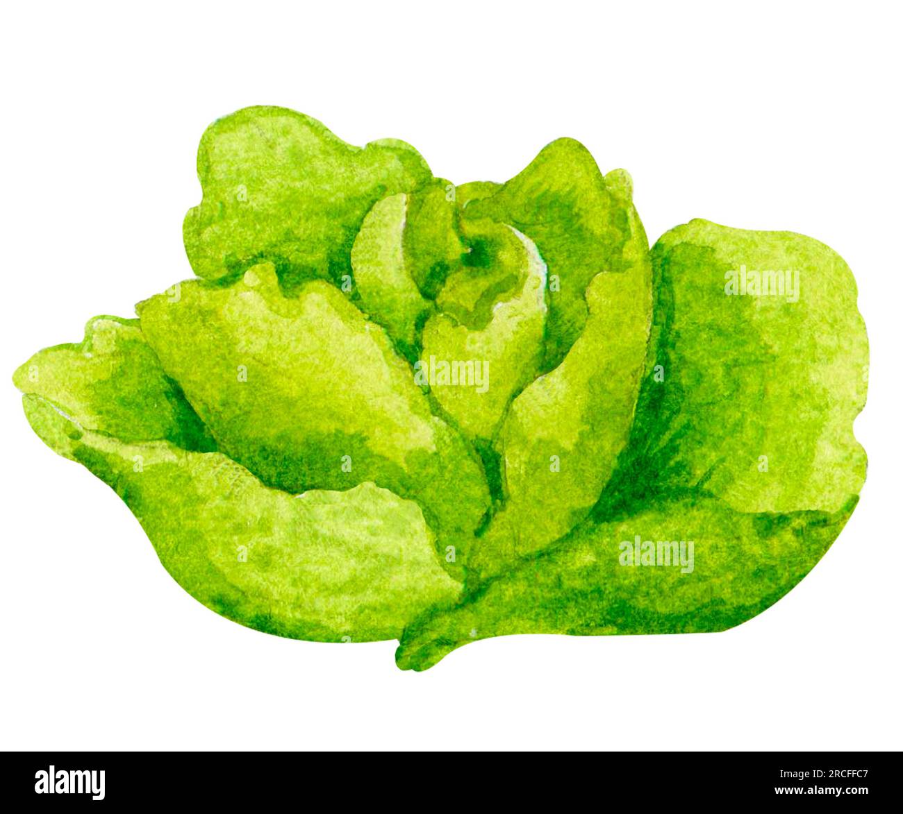 Menus outside Cut Out Stock Images & Pictures Alamy