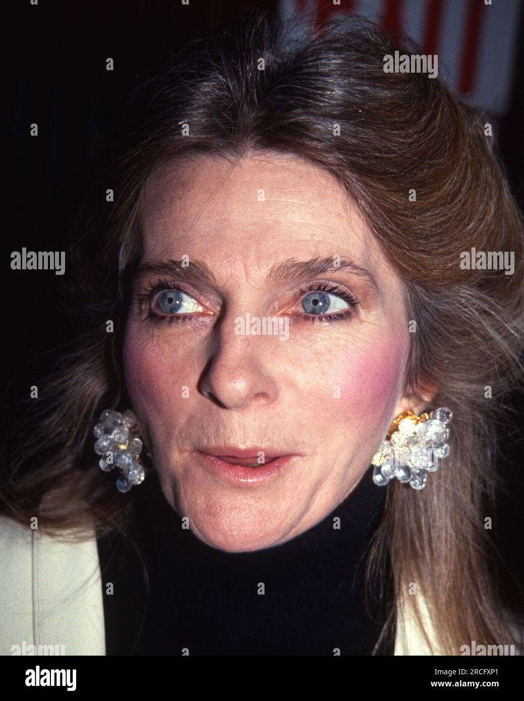 1991 Judy Collins John Barrett/PHOTOlink Stock Photo Alamy