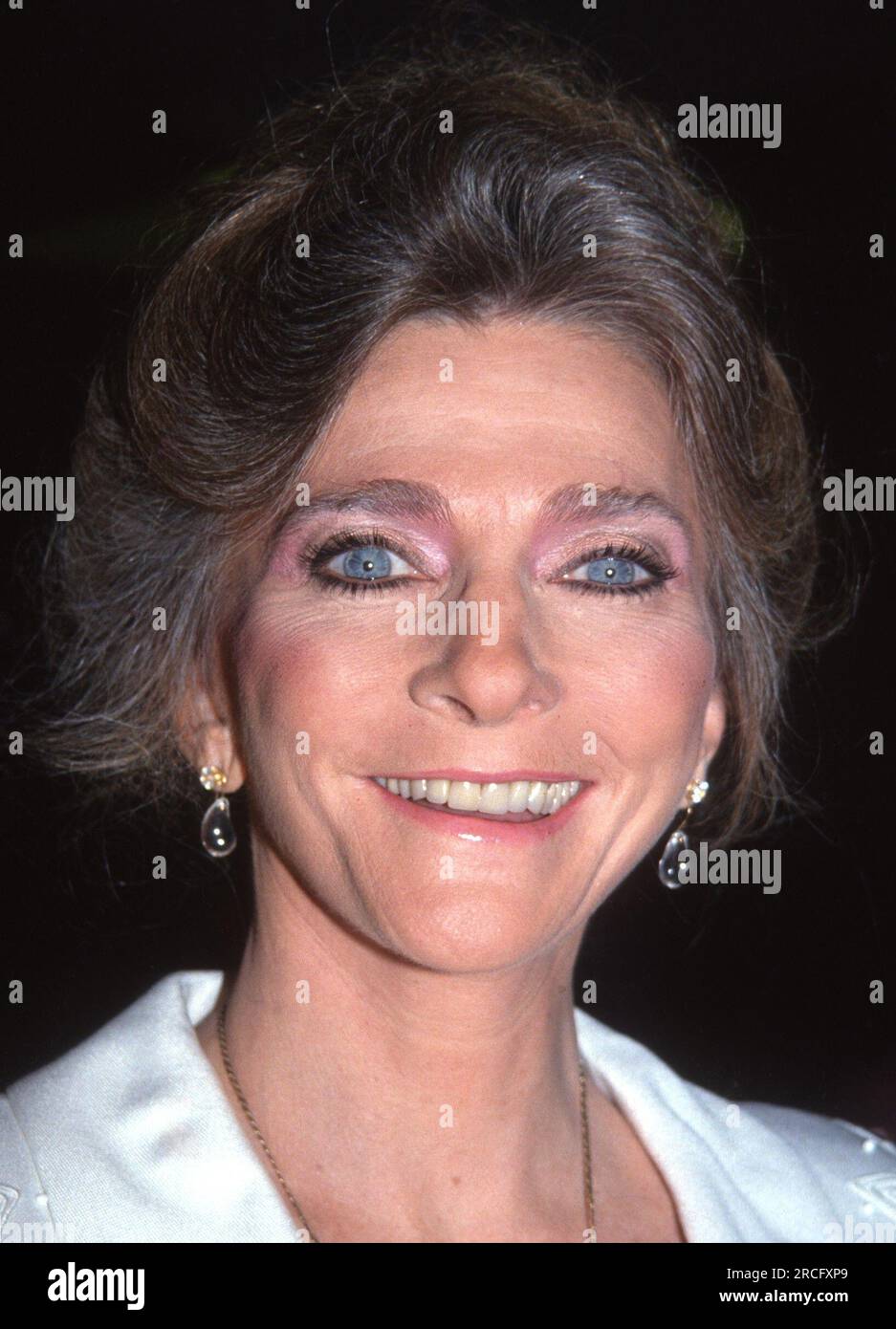 1992 Judy Collins John Barrett/PHOTOlink Stock Photo Alamy
