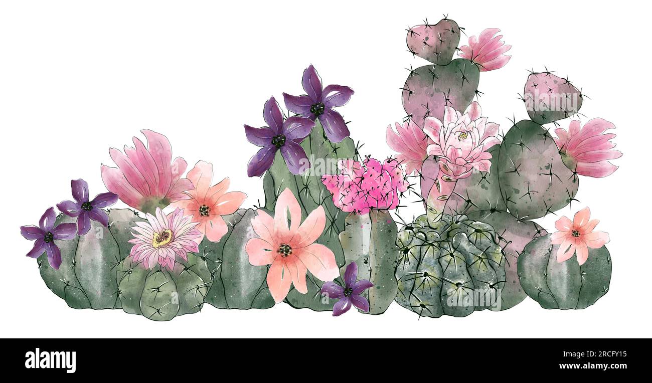 Watercolor cactus collection isolated on white background. Hand drawn ...