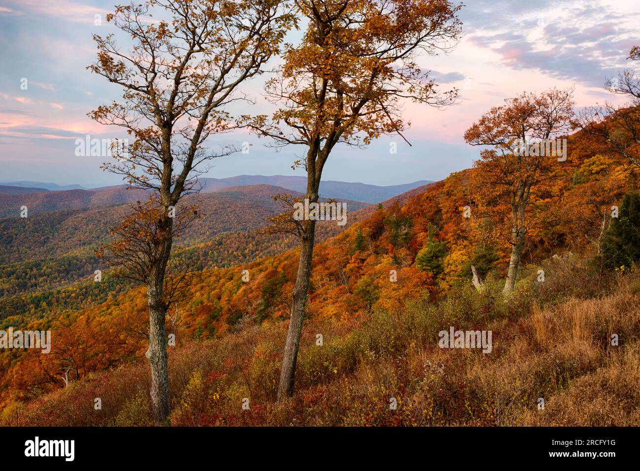 Autumn Morning, Shenandoah National Park, Virginia, USA Stock Photo