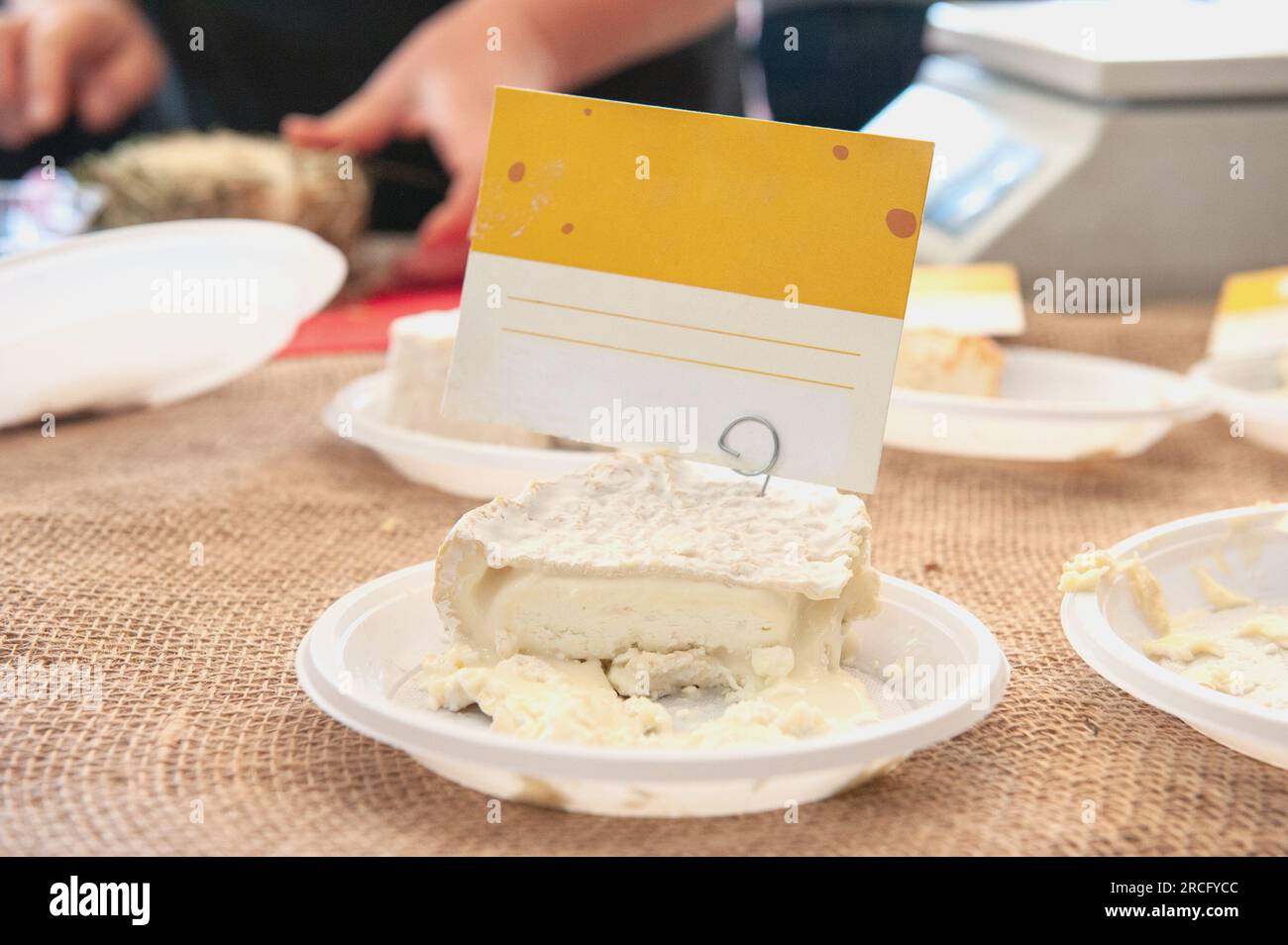Neshatel cheese on display at the Russian Cheese and Farm Products Fair. Small business of Russian farmers. Stock Photo