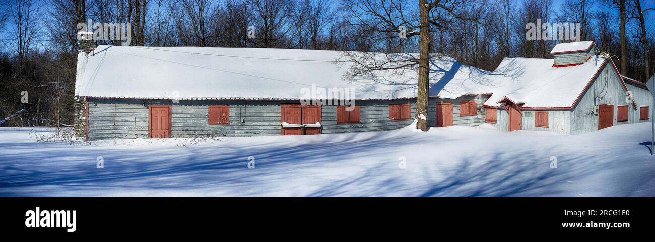 Old sugar shack in winter Stock Photo