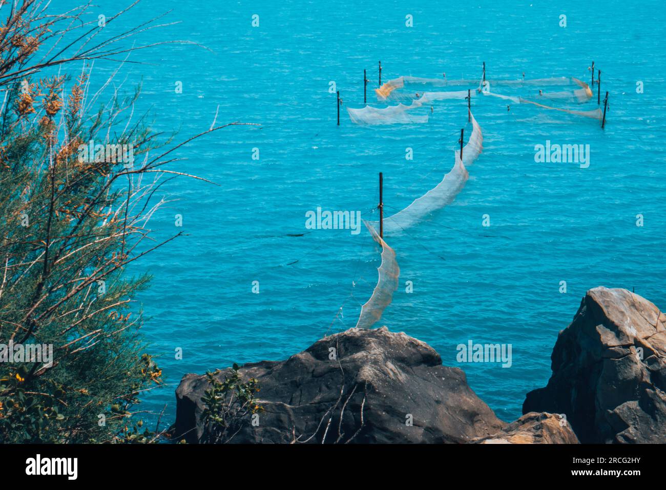 Fish nets installed in the sea Stock Photo Alamy