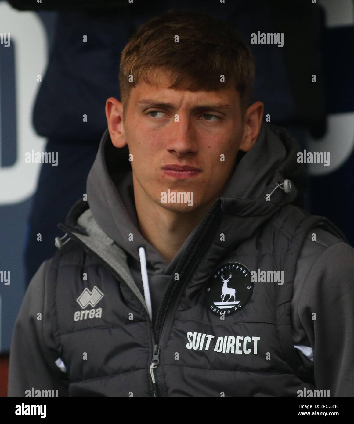 Joe grey, hartlepool hires stock photography and images Alamy