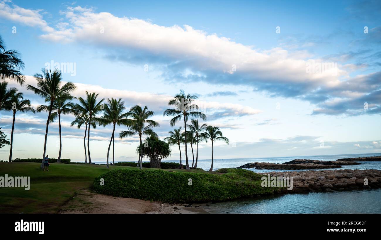 Playa hawaii hi-res stock photography and images - Alamy